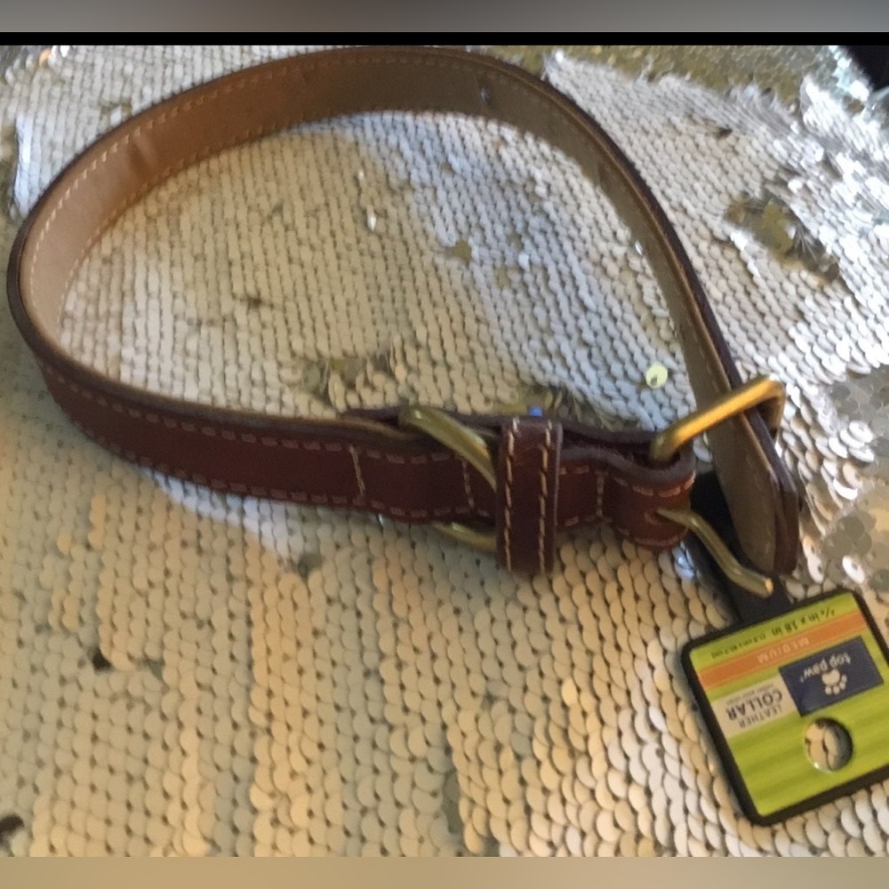 ✔️🌸Ⓜ️Top Paw Leather Dog Collar NWT 
Size Medium